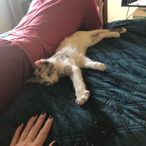 Meet your Posher, Apryl - Picture 1 of 1